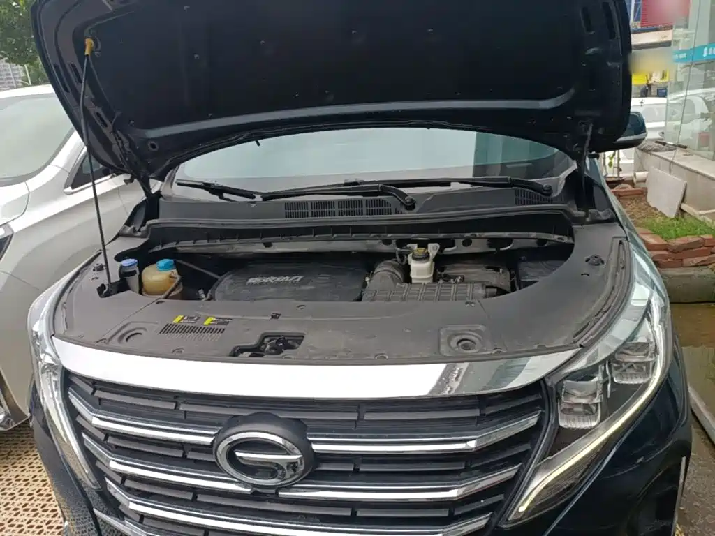 GAC Trumpchi M8 2021 — фото 20