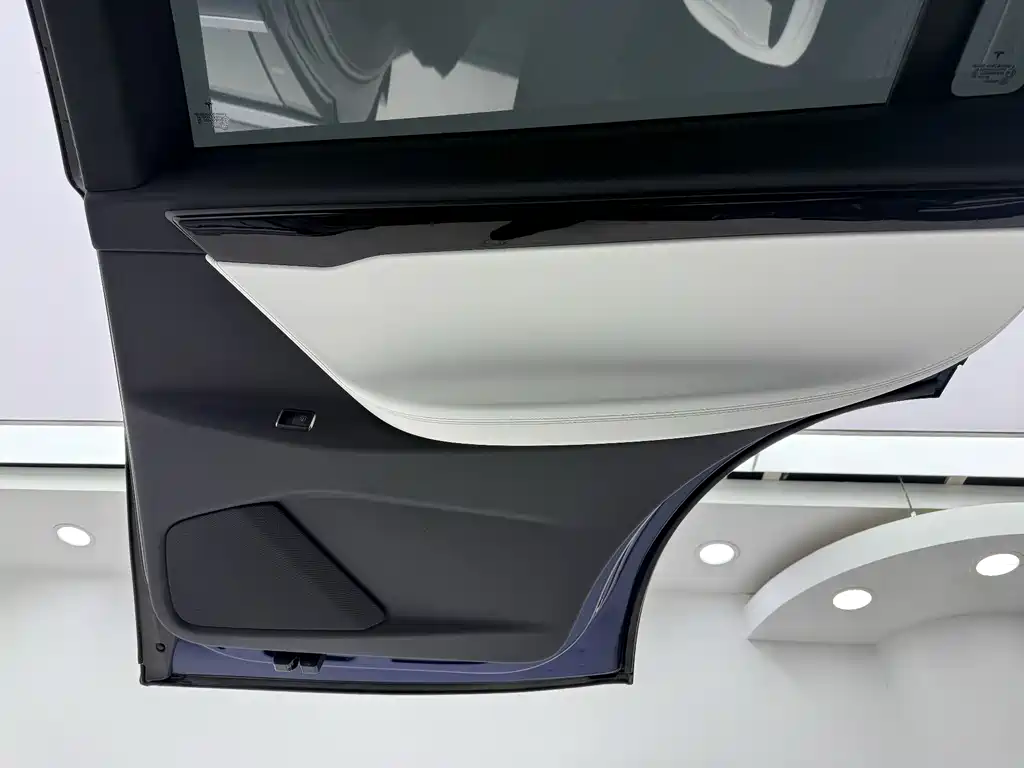 Tesla Model X 2020 — фото 14