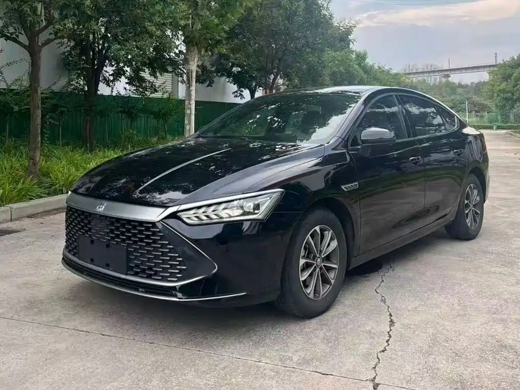 BYD Qin PLUS 2024 — фото 1