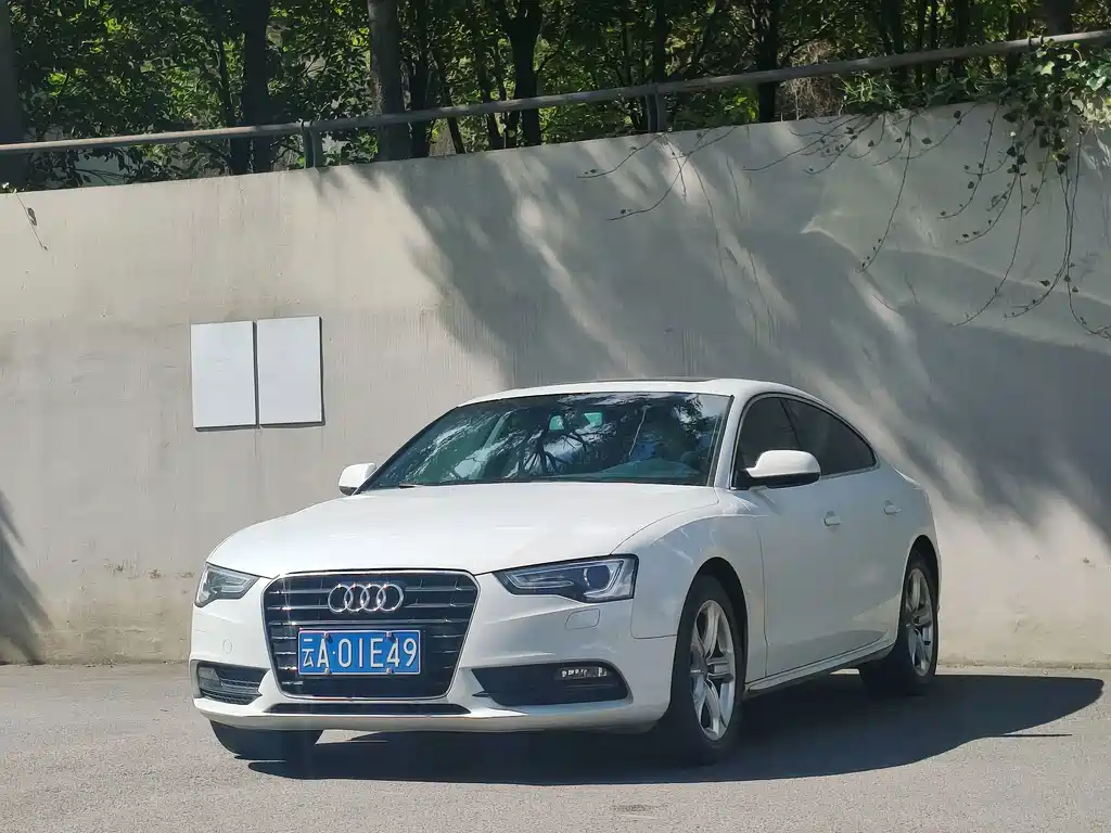 Audi A5 2014 — фото 1