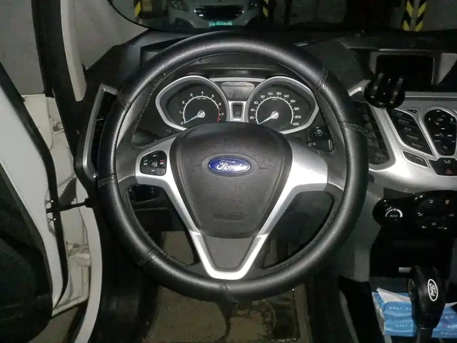 Ford EcoSport 2014 — фото 15