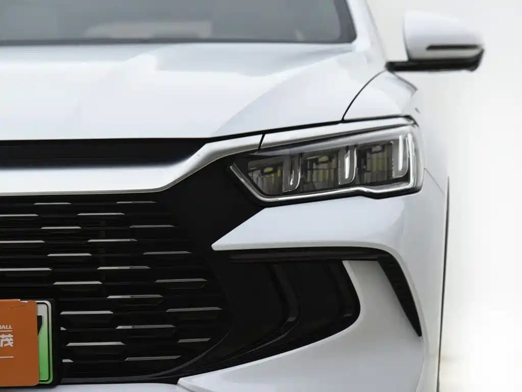 BYD Pro New Energy 2024 — фото 18