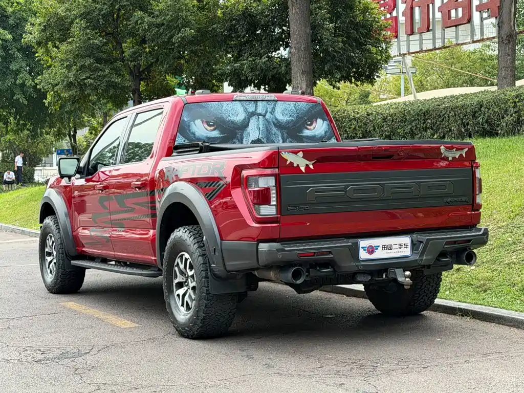 Ford F-150 Raptor 2024 — фото 4