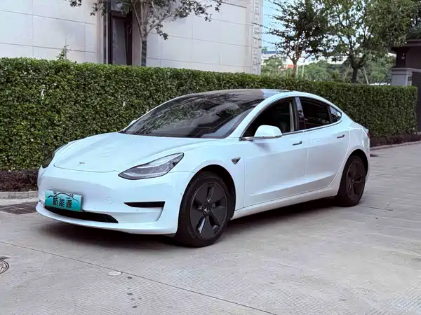 Tesla Model 3 2019