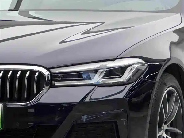 BMW 5 Series New Energy 2021