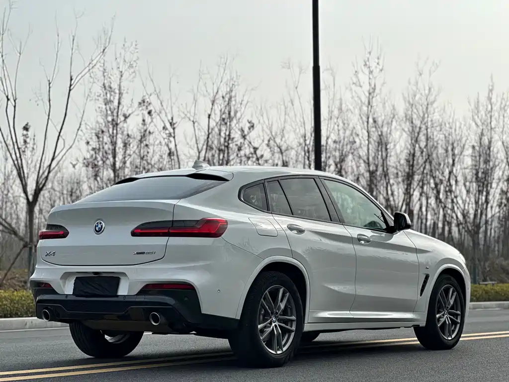 BMW X4 2019 — фото 21