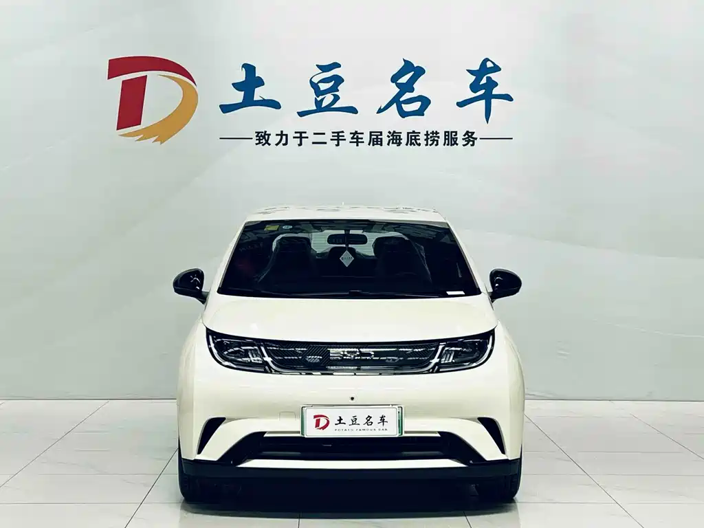 BYD Dolphin 2026