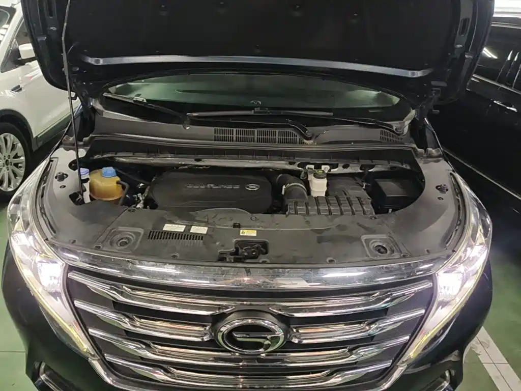 GAC Trumpchi M8 2019 — фото 20