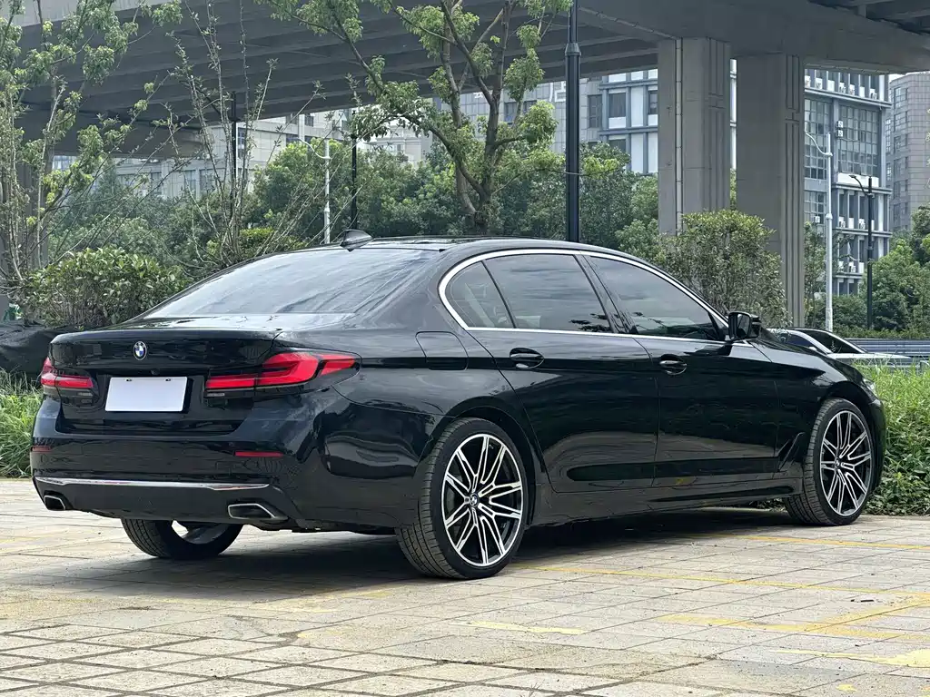 BMW 5 Series New Energy 2020