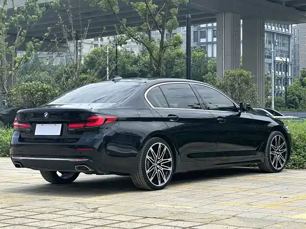 BMW 5 Series New Energy 2020