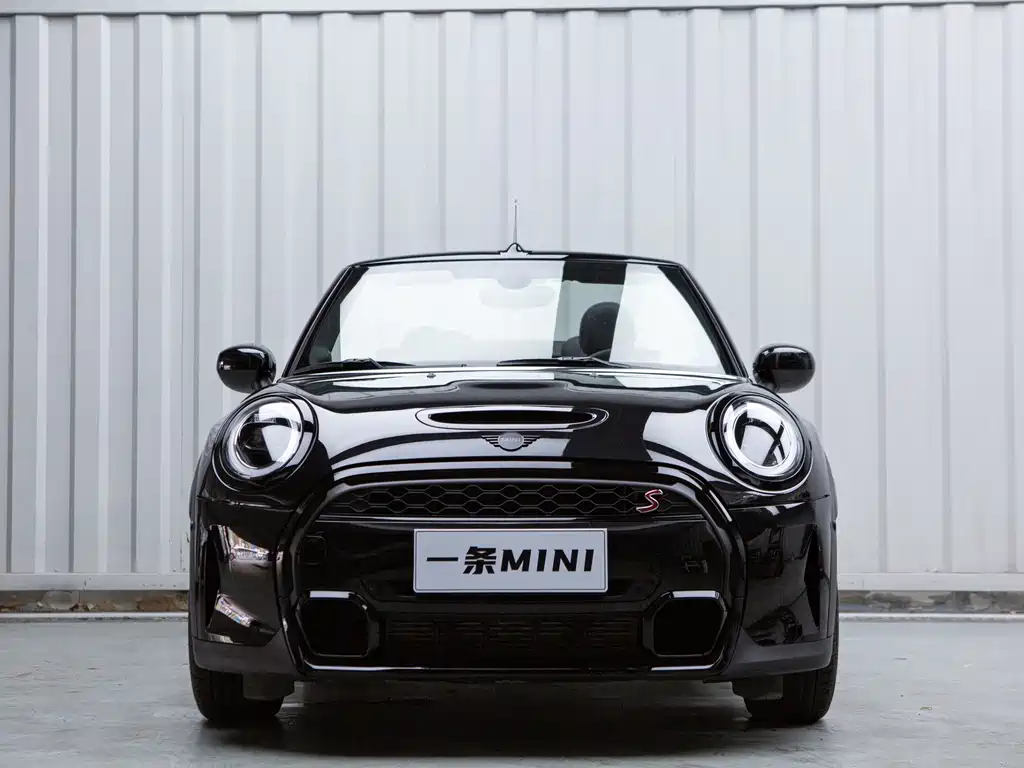 MINI MINI 2024
