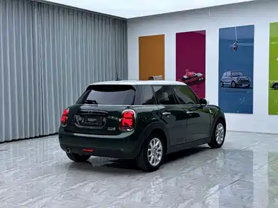 MINI MINI 2019