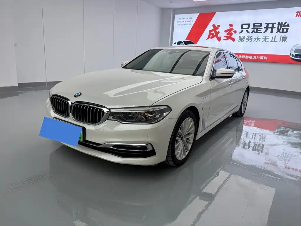 BMW 5 Series New Energy 2019