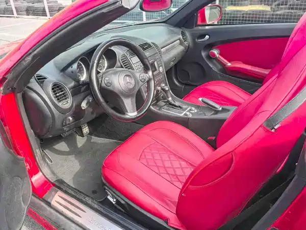 Mercedes-Benz SLK-Class 2010