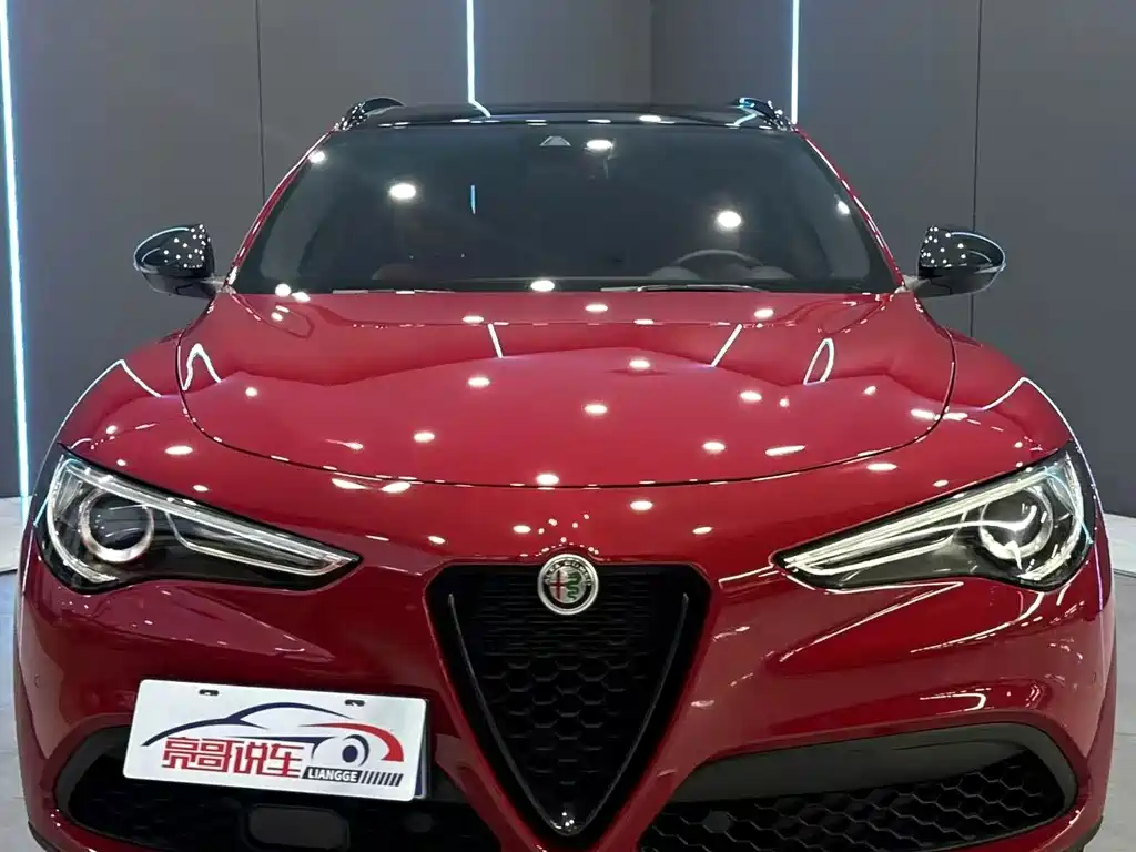 Alfa Romeo Stelvio 2021 — фото 2