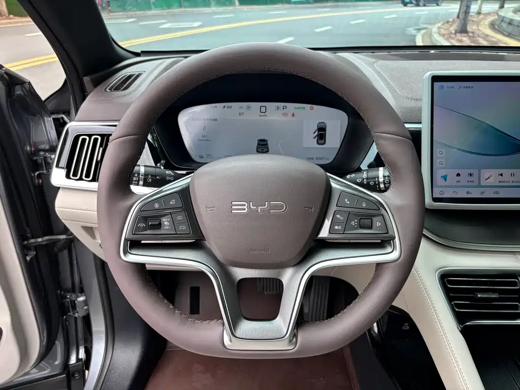 BYD PLUS New Energy 2025 — фото 21