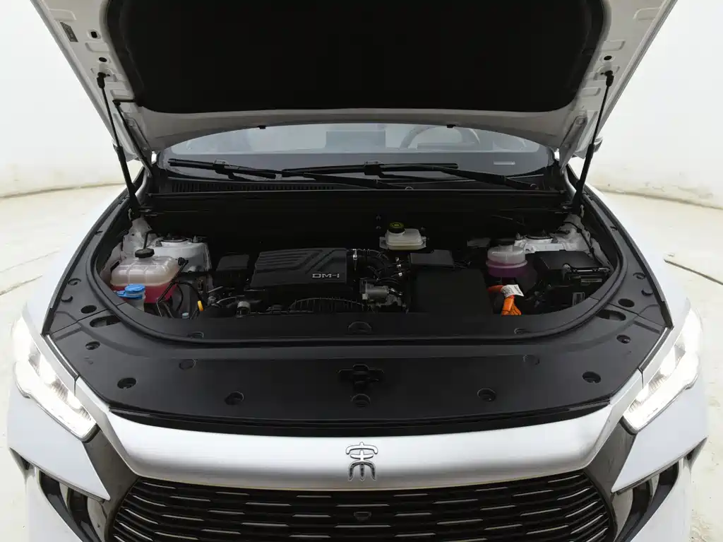 BYD Pro New Energy 2024 — фото 17
