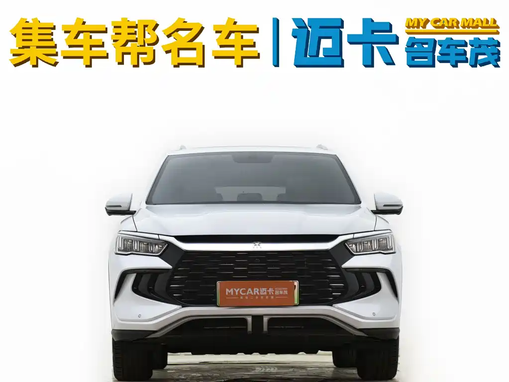 BYD Pro New Energy 2024 — фото 2