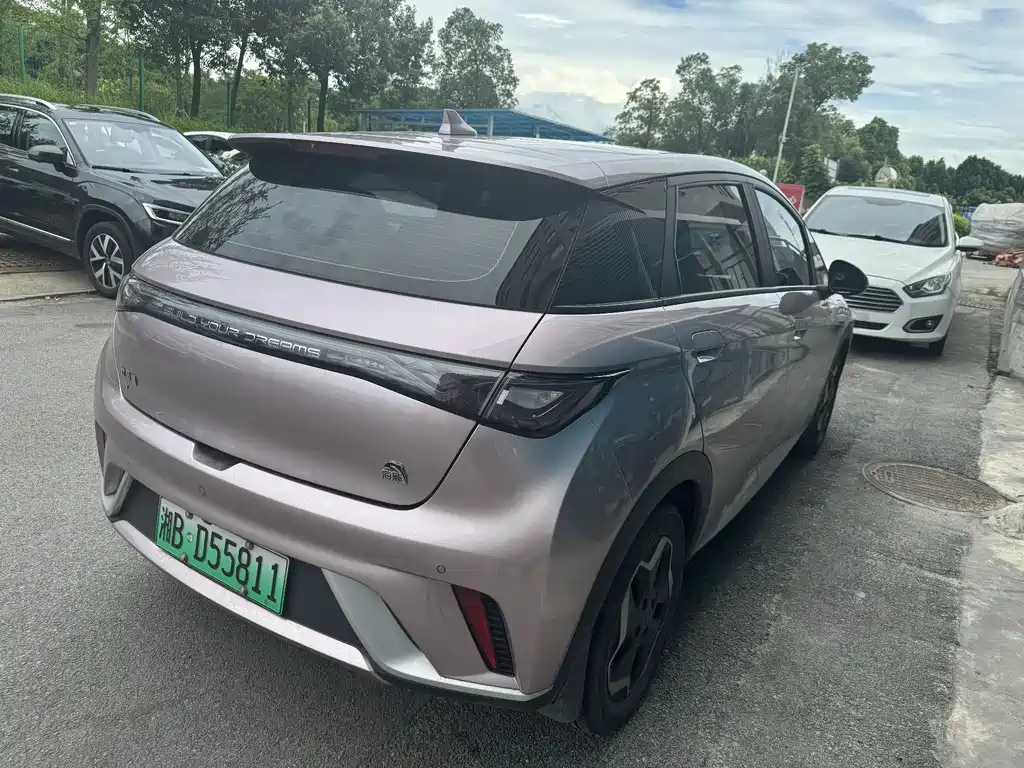 BYD Dolphin 2022