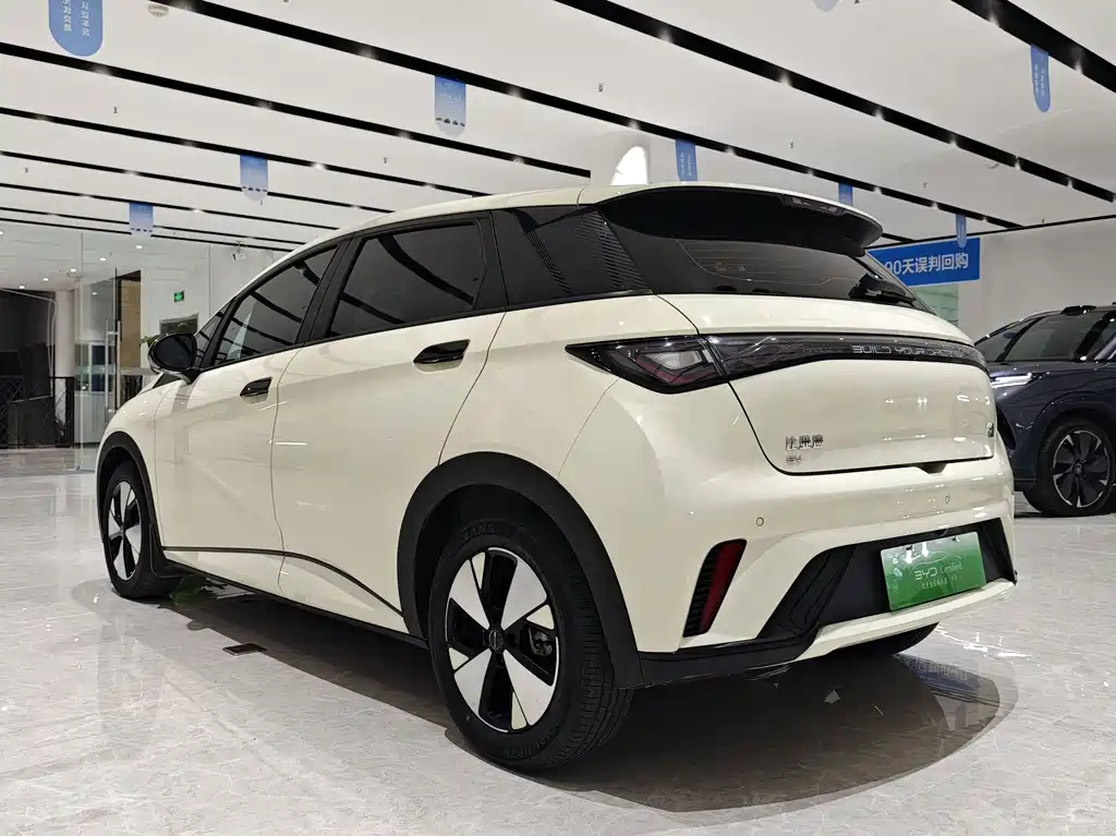 BYD Dolphin 2023 — фото 13