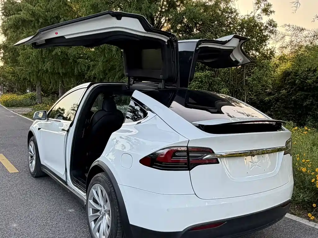 Tesla Model X 2020 — фото 4