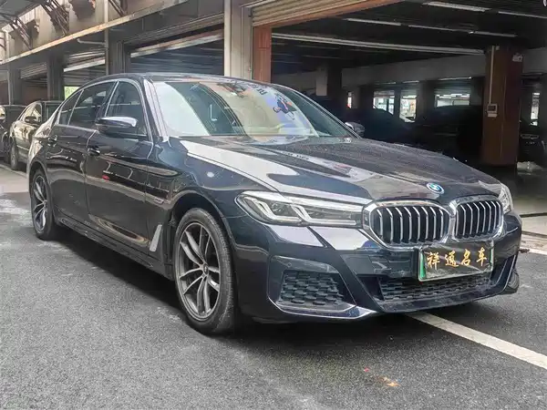 BMW 5 Series New Energy 2022