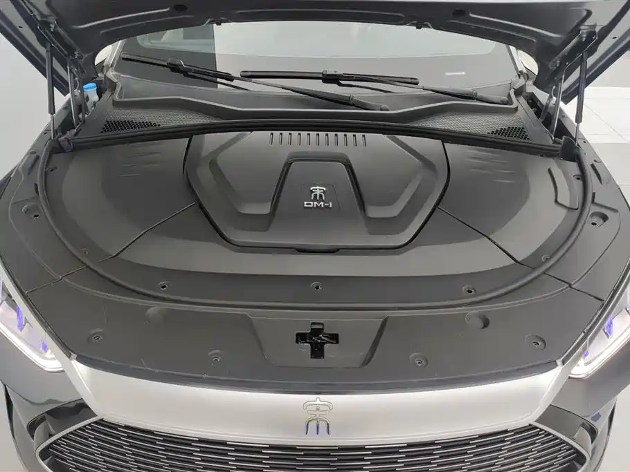 BYD PLUS New Energy 2023 — фото 10