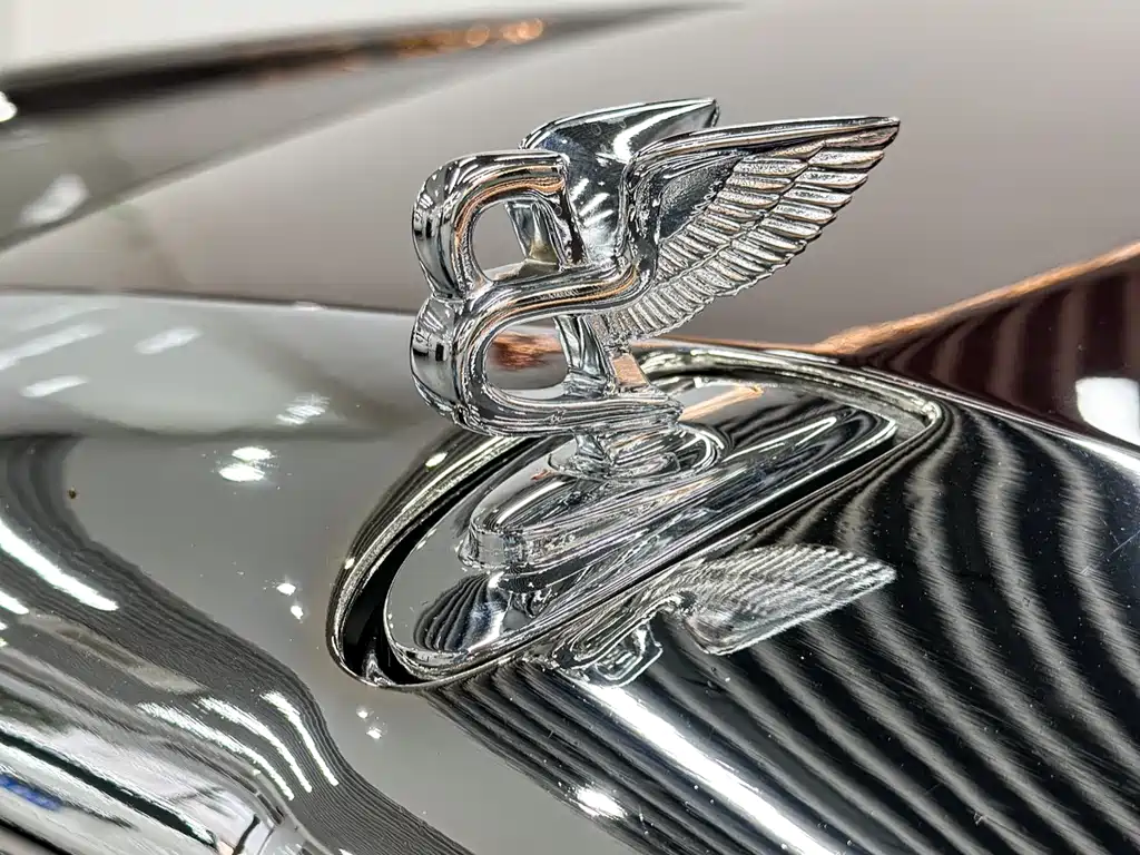 Bentley Elegance 2008 — фото 10