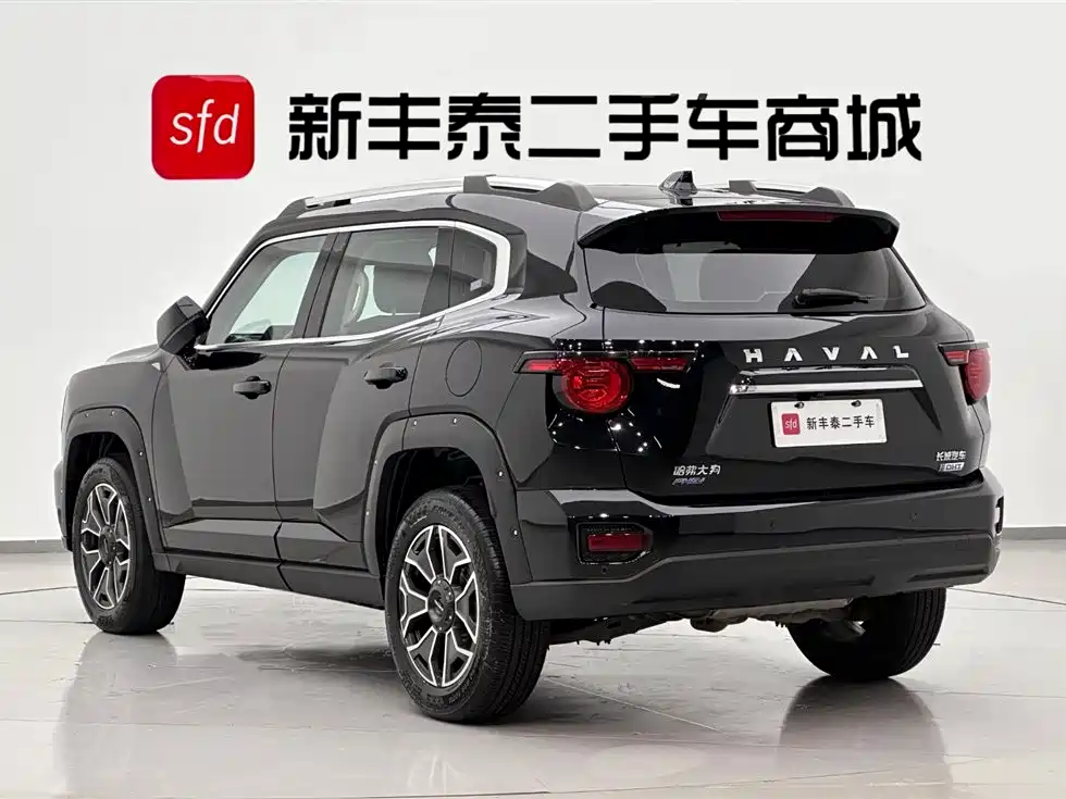 Haval Dargo PLUS EV 2023 — фото 6