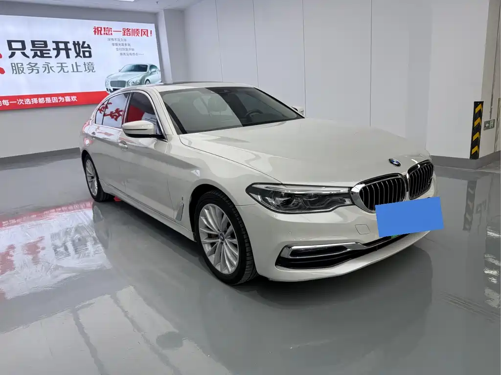 BMW 5 Series New Energy 2019