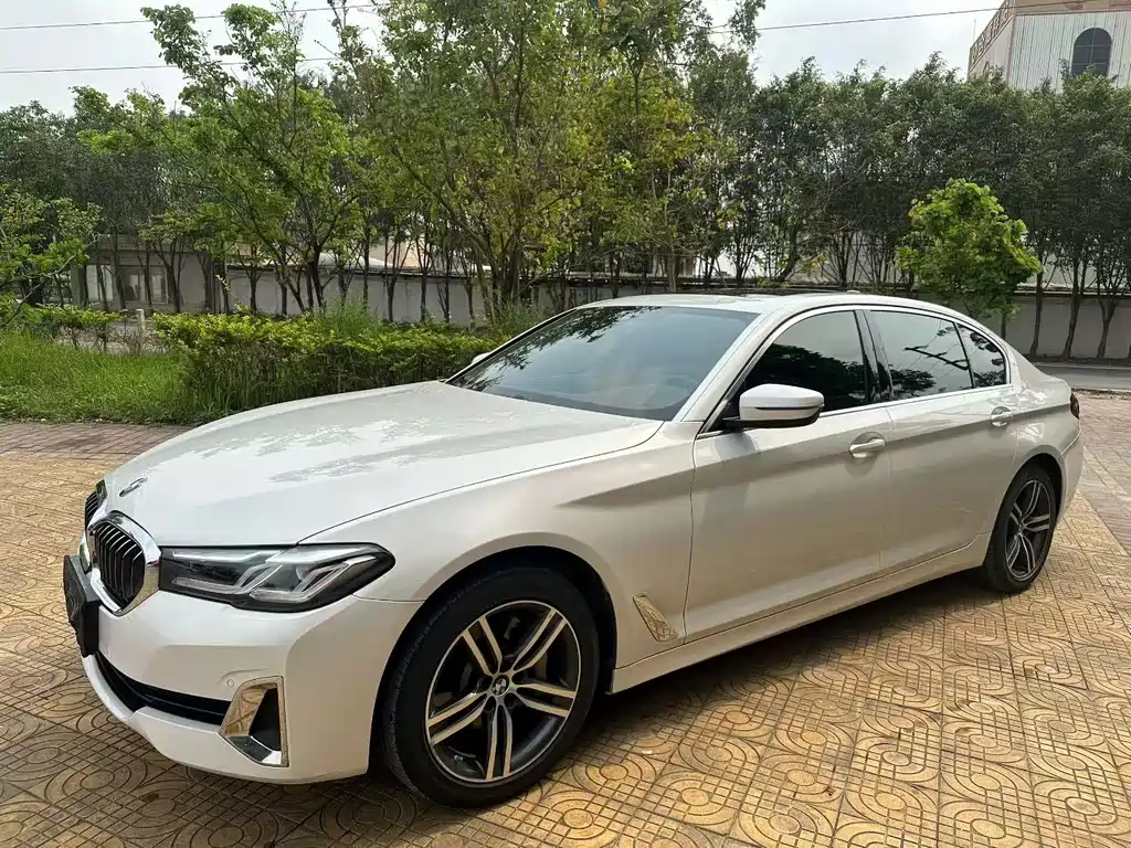 BMW 5 Series 2020 — фото 1