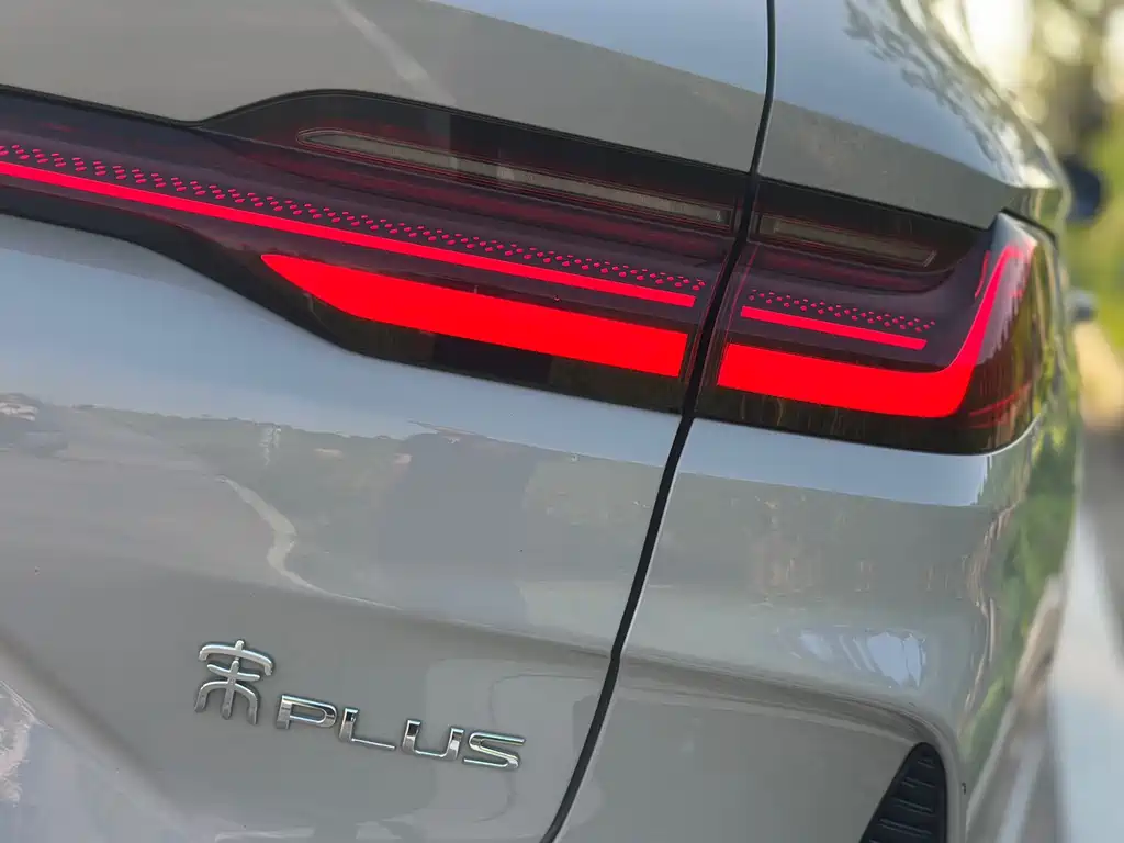 BYD Song PLUS New Energy 2024 — фото 16