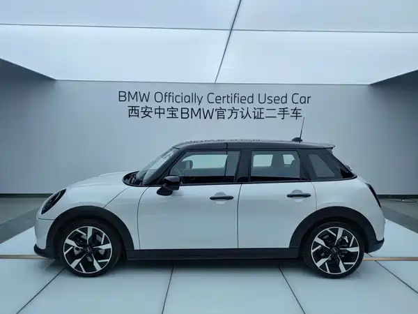 MINI MINI 2025