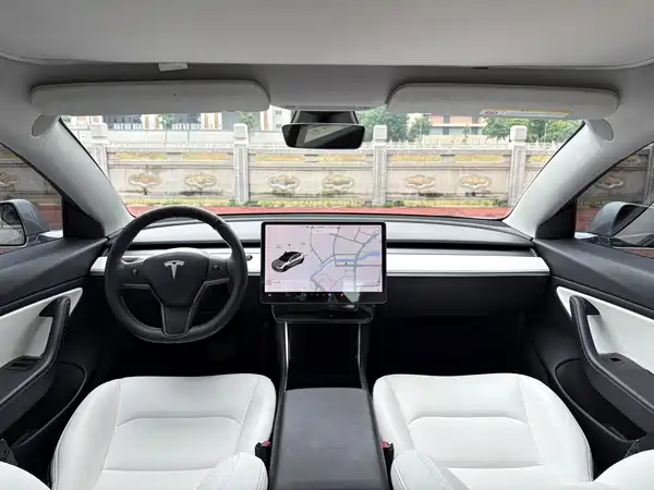 Tesla Model 3 2020