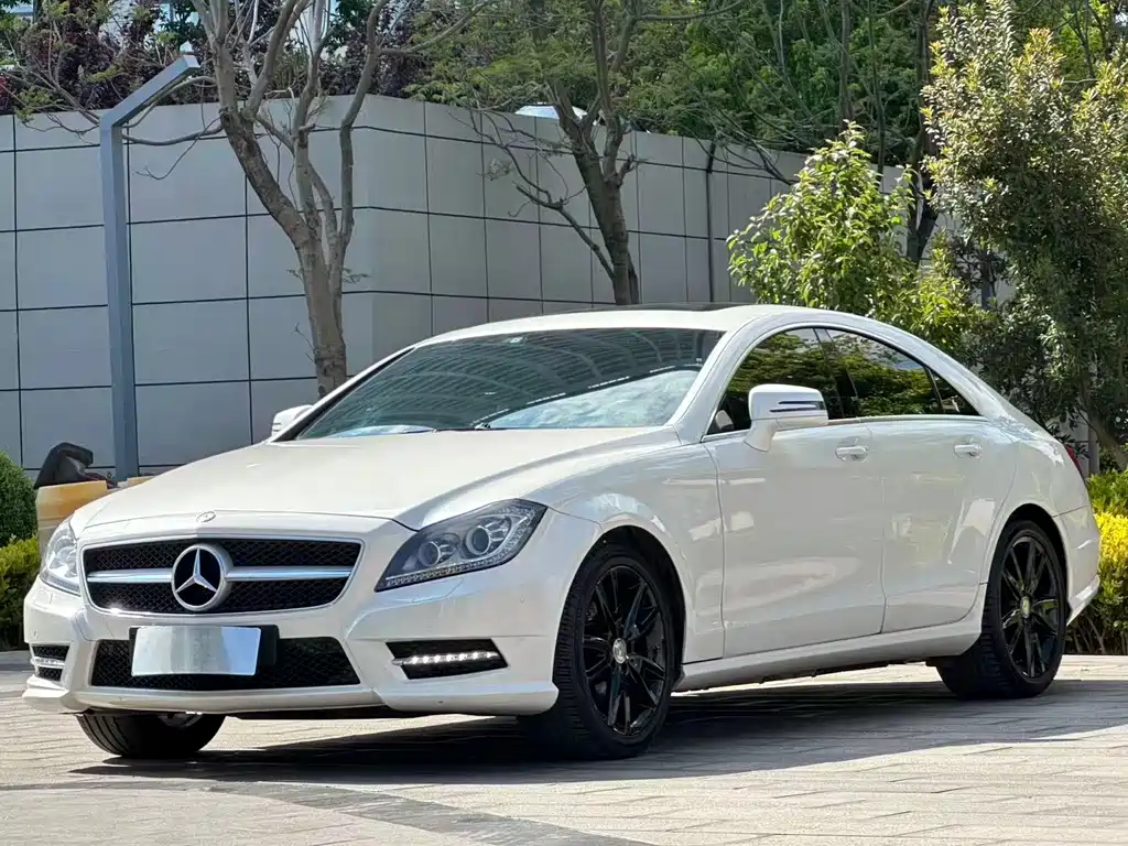 Mercedes-Benz CLS 2014 — фото 1