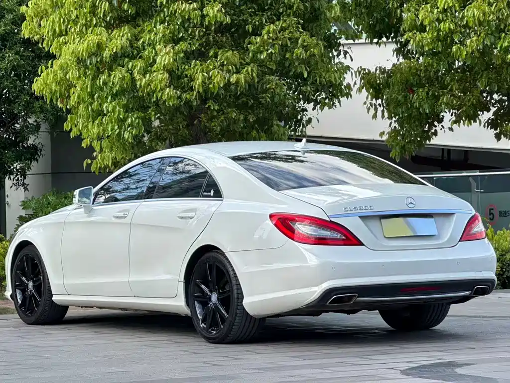 Mercedes-Benz CLS 2014 — фото 24