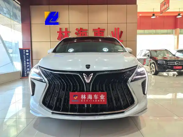 Dongfeng Popular Yacht 2024