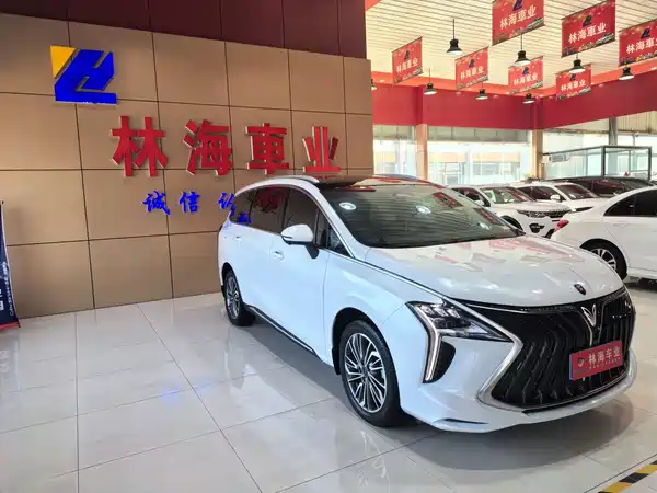 Dongfeng Popular Yacht 2024
