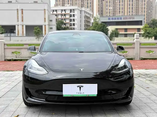 Tesla Model 3 2020