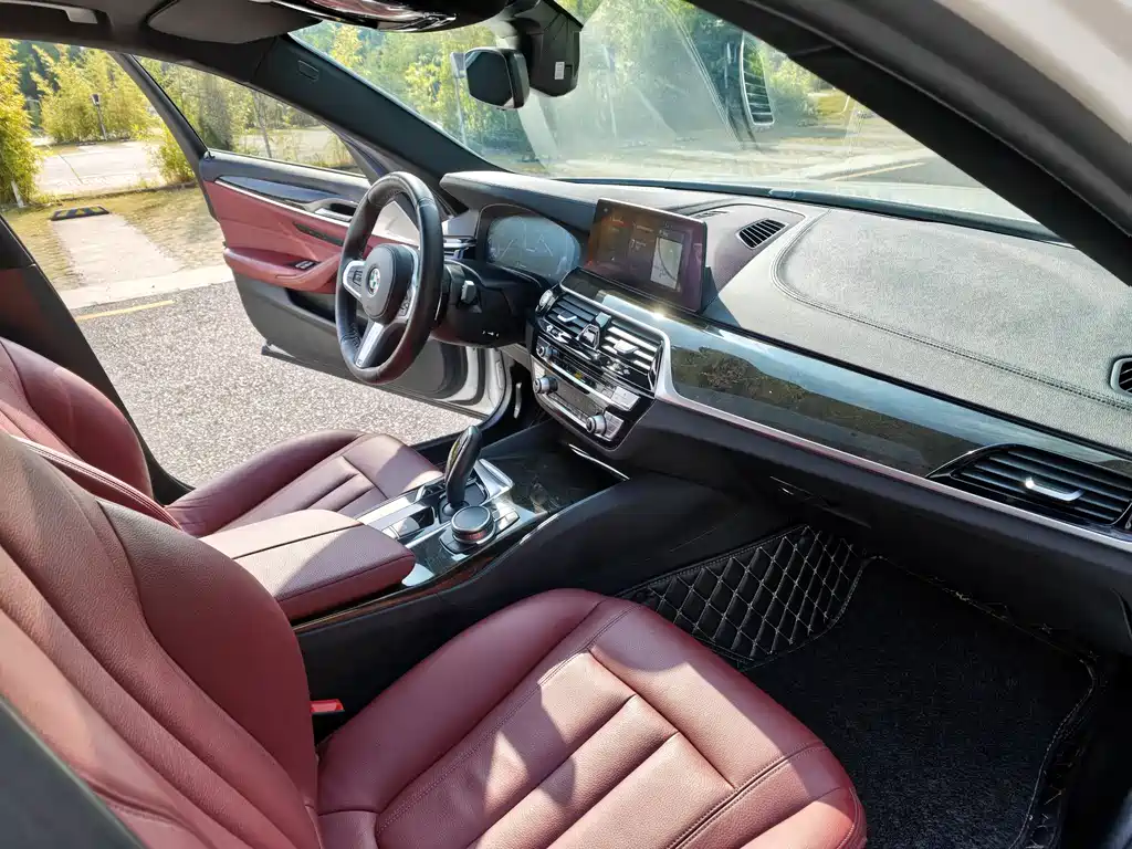 BMW 5 Series 2020 — фото 11