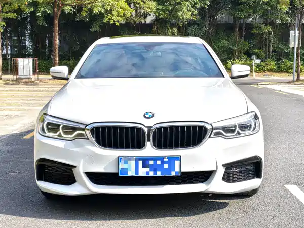 BMW 5 Series 2019