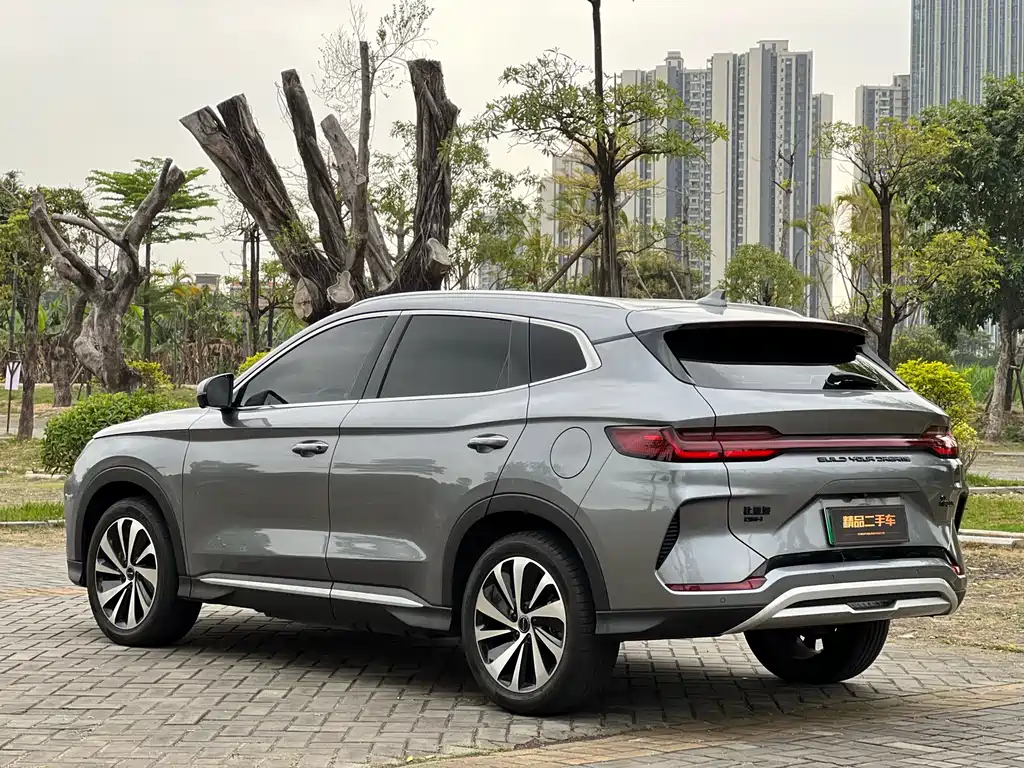 BYD PLUS New Energy 2023 — фото 7