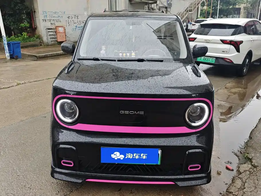 Geely Galaxy Panda 2024