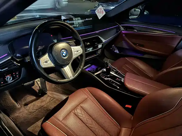 BMW 5 Series New Energy 2022