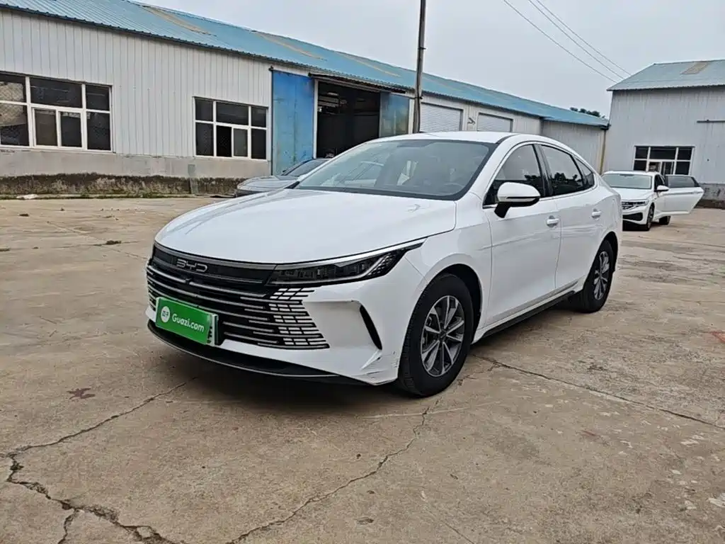 BYD Destroyer 05 2024 — фото 2