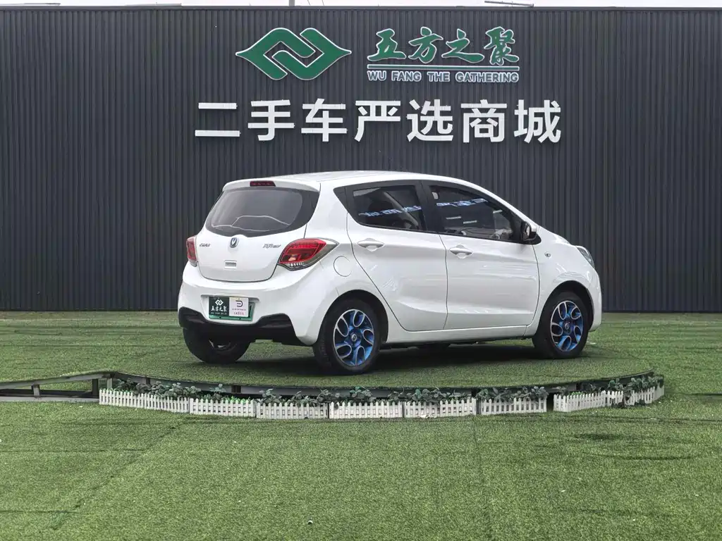 Changan EV 2019 — фото 18