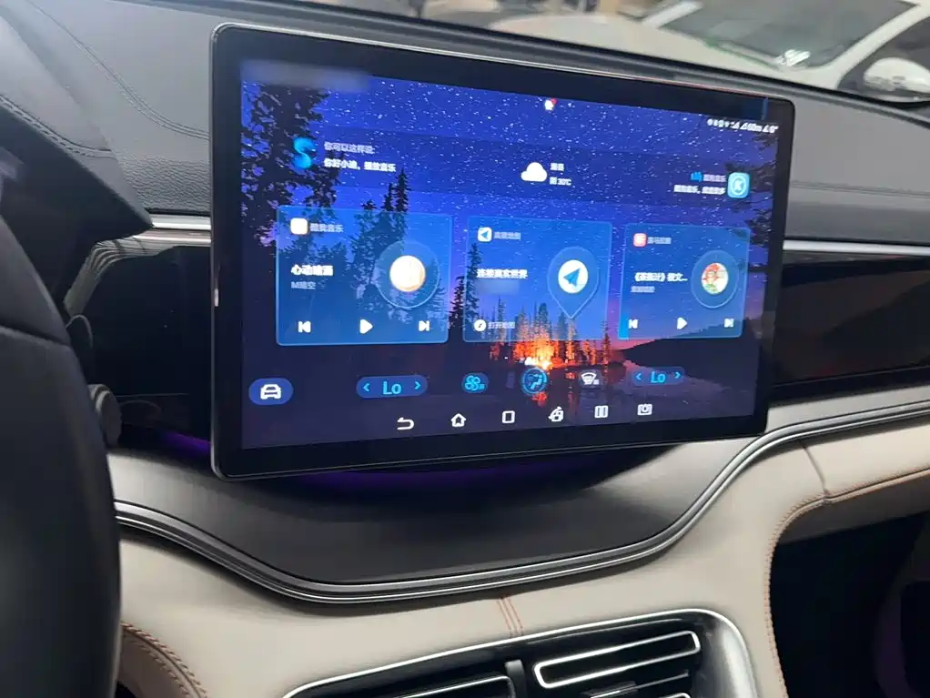 BYD PLUS New Energy 2022 — фото 10