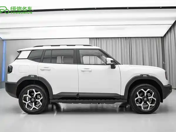 Jetour Shanhai T1 2025