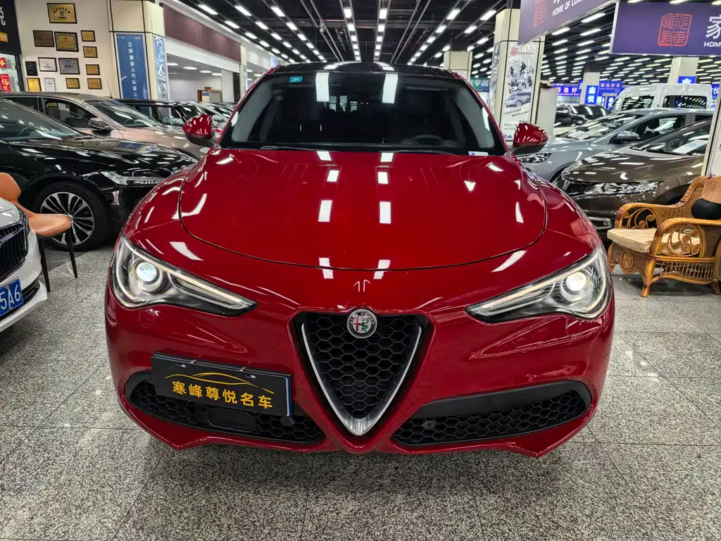Alfa Romeo Stelvio 2019 — фото 3