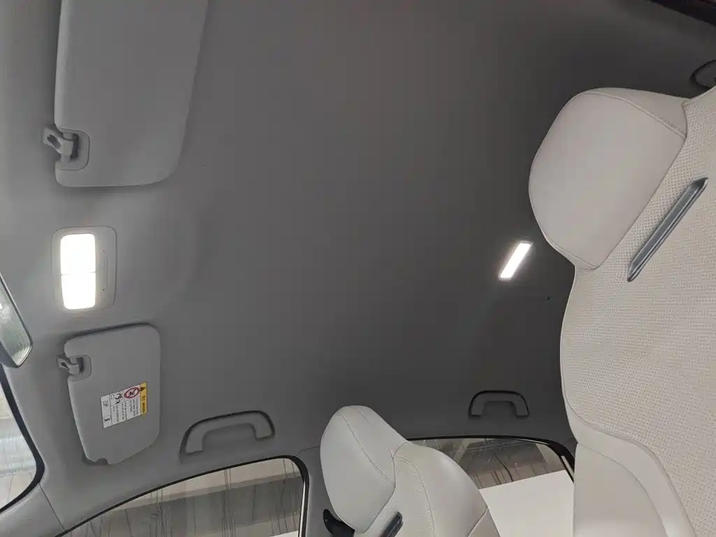Geely Galaxy Starwish 2025 — фото 19